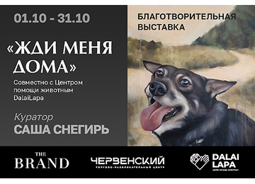 «Жди меня дома»: благотворительная выставка в THE BRAND